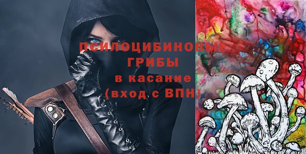гидра Баксан
